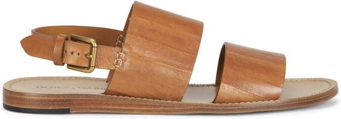 Dolce & Gabbana Pantheon leather sandals Brown