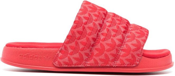 adidas floral-print padded slides Red