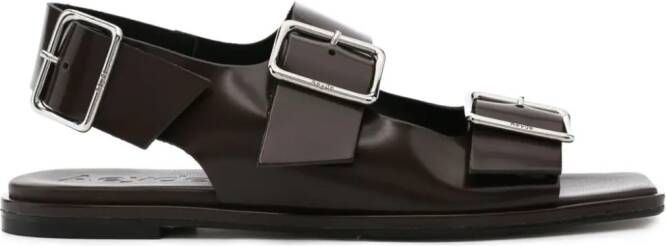 Aeyde Tekla buckled leather sandals Brown