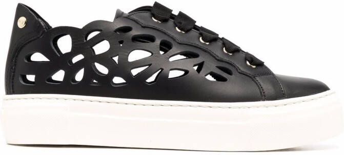 AGL laser-cut leather sneakers Black