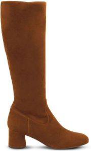 AGL Loretta knee-high suede boots Brown