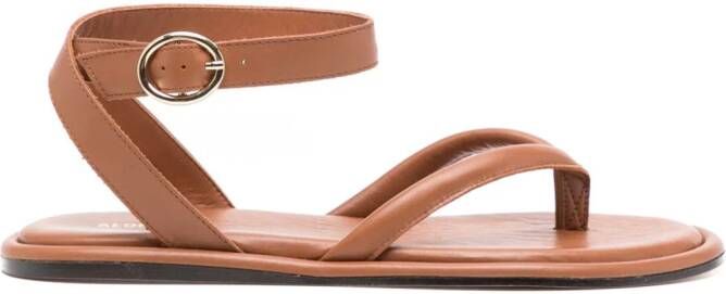 ALOHAS Seneca leather sandals Brown