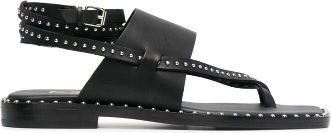 Ash Medusa studded leather sandals Black