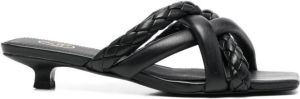 Ash Nolita 40mm mules Black