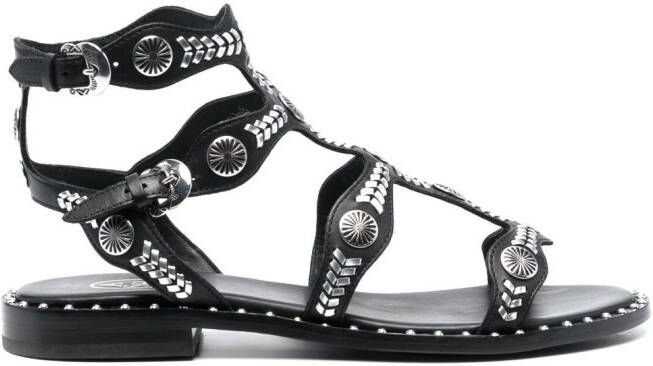 Ash Pacha stud-embellished sandals Black