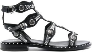 Ash Pacha stud-embellished sandals Black