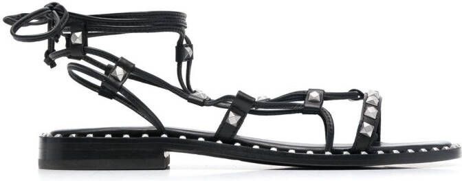 Ash Paloma gladiator sandals Black