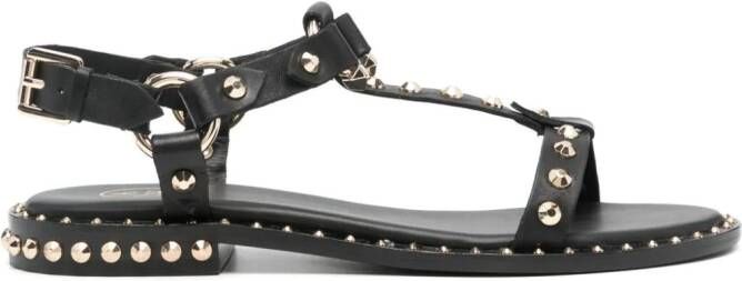 Ash stud-embellished leather sandals Black