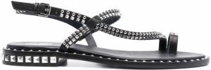 Ash stud-embellished slingback sandals Black