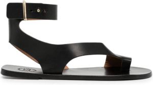ATP Atelier Aquara cut-out leather sandals Black
