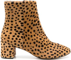 Blue Bird Shoes 70mm cheetah-print boots Brown