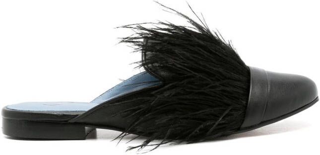 Blue Bird Shoes feather-trim detail slippers Black