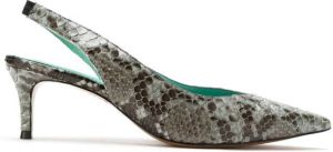 Blue Bird Shoes Python slingback pumps Grey