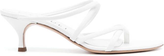 Casadei 50mm Lucrezia thong mules White