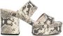 Chloé 110mm leather snakeskin sandals Brown - Thumbnail 1