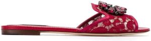 Dolce & Gabbana Bianca crystal-embellished lace sandals Red