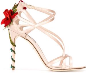 Dolce & Gabbana climbing rose sandals Pink