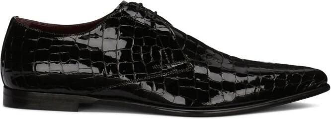 Dolce & Gabbana crocodile-embossed Derby shoes Black