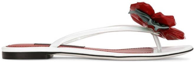 Dolce & Gabbana flower-appliqué slides Red