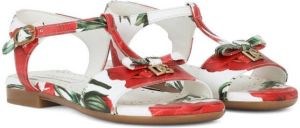 Dolce & Gabbana Kids logo-plaque poppy-print sandals Red