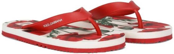 Dolce & Gabbana Kids poppy-print flip flops Red