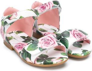 Dolce & Gabbana Kids roses print touch strap sandals White