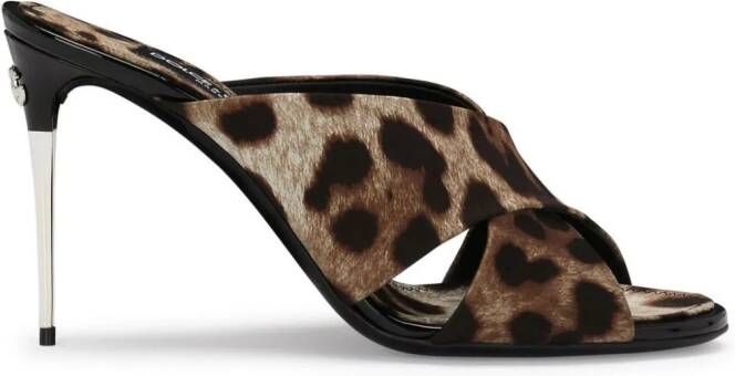 Dolce & Gabbana leopard-print stiletto mules Brown
