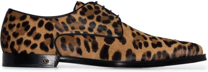 Dolce & Gabbana Millennials leopard-print Derby shoes Brown