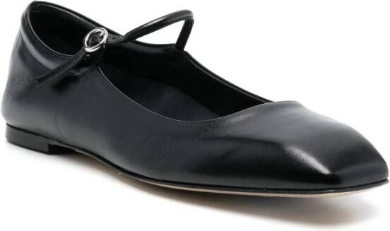 Aeyde Uma square-toe ballerina shoes Black