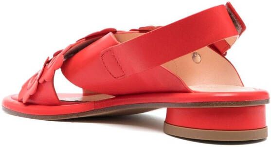 AGL Alison 35mm leather sandals Red