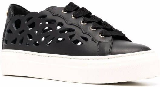 AGL laser-cut leather sneakers Black