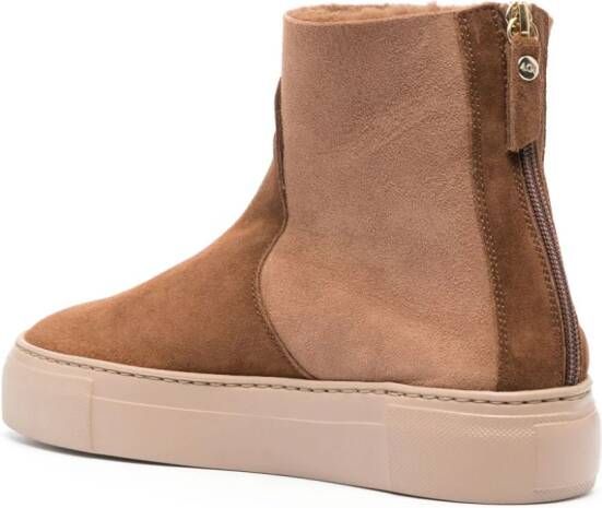 AGL Meghan suede ankle boots Brown