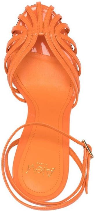Alevì 120mm caged stiletto sandals Orange