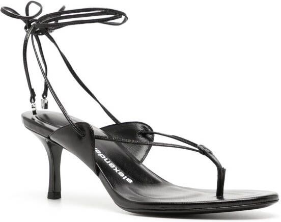 Alexander Wang ankle-strap low-heel sandals Black