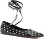 Amina Muaddi Ane crystal-embellished ballerina shoes Black - Thumbnail 2