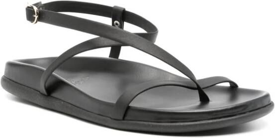 Ancient Greek Sandals Aimilia flat sandals Black