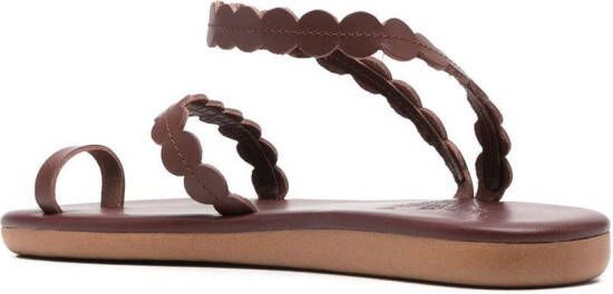 Ancient Greek Sandals multi-strap leather sandals Brown