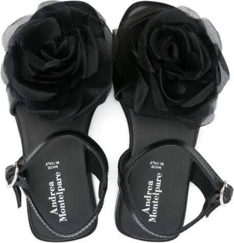 Andrea Montelpare floral-appliqué leather sandals Black