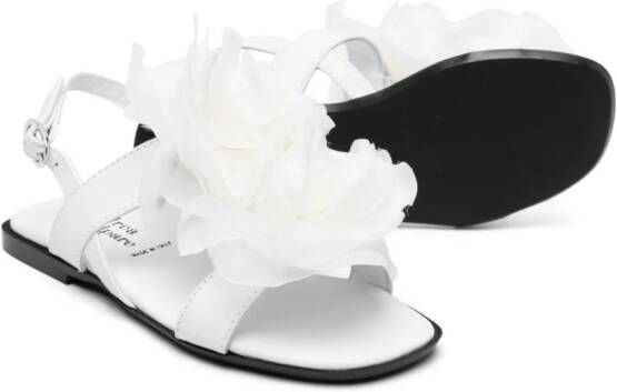 Andrea Montelpare floral-appliqué leather sandals White