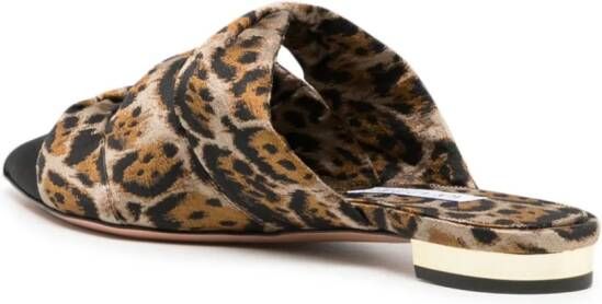 Aquazzura pointed-toe leopard-print mules Brown