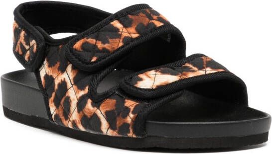 Arizona Love Apache leopard-print sandals Brown