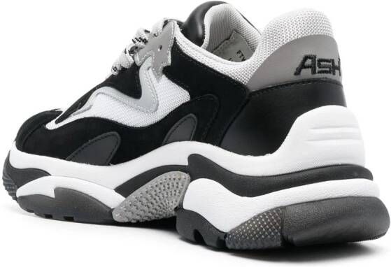 Ash Addict low-top sneakers Black