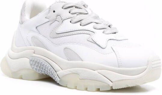 Ash Addict low-top sneakers White