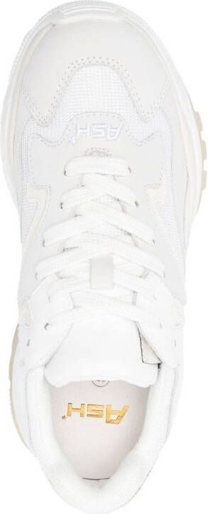 Ash Addict low-top sneakers White