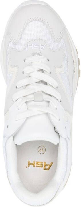 Ash Addict low-top sneakers White