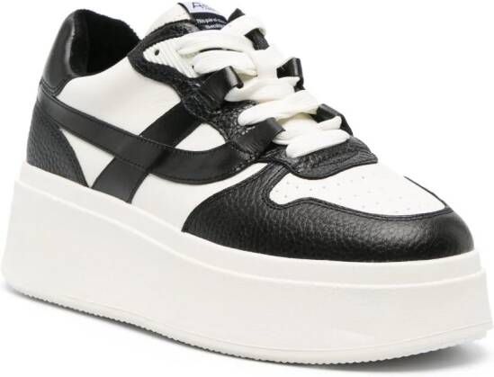 Ash Match 55mm platform sneakers White