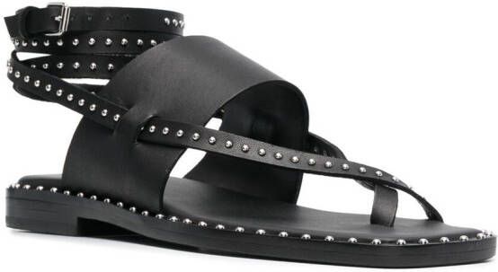 Ash Medusa studded leather sandals Black