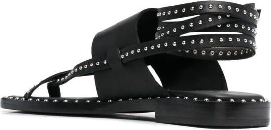 Ash Medusa studded leather sandals Black