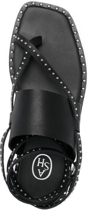 Ash Medusa studded leather sandals Black