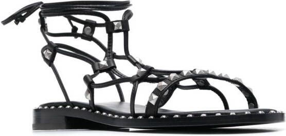 Ash Paloma gladiator sandals Black